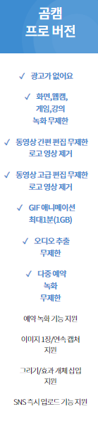 곰캠 프로 다운로드 PC 컴퓨터 화면 녹화하기, 게임 화면 19