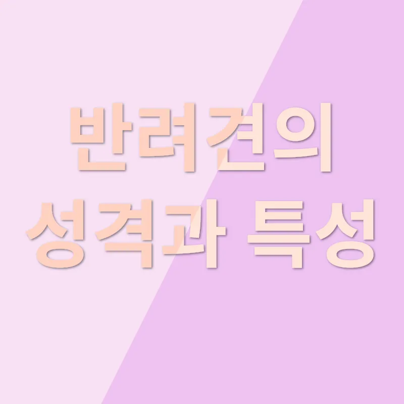 반려견 선택_1