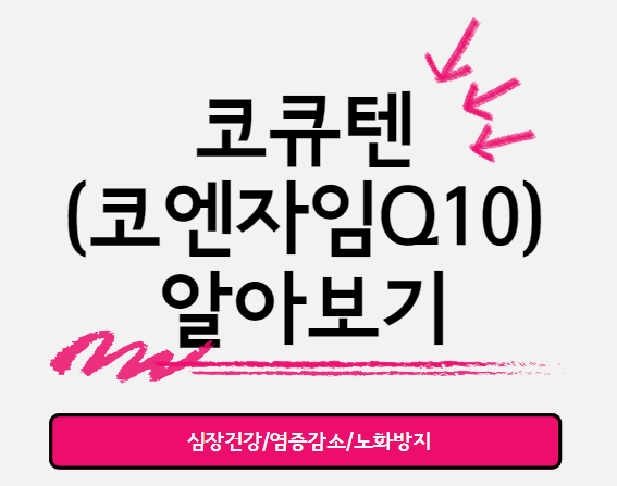  강력한 항산화제 코큐텐으로 건강을 지키기