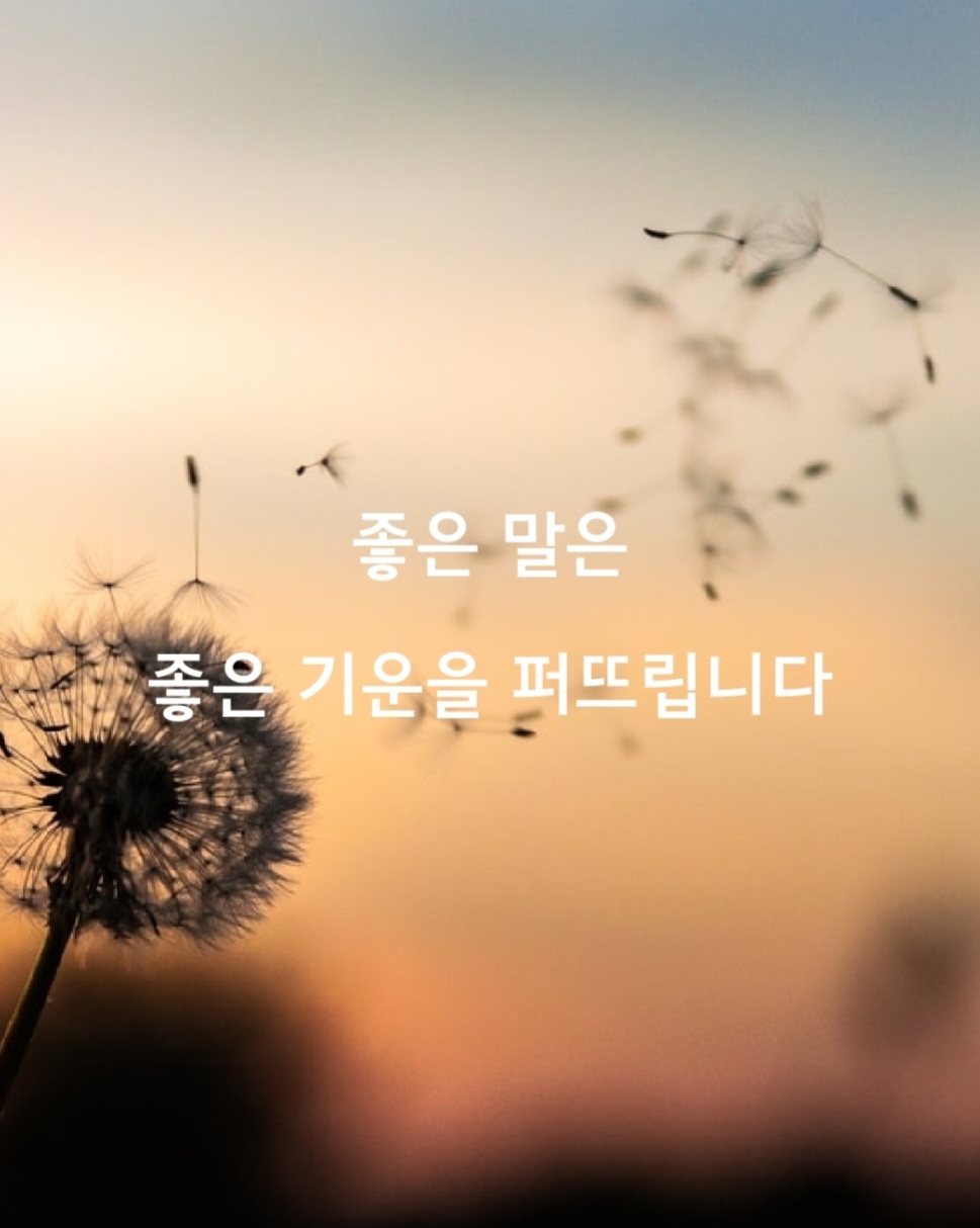  [좋은글] 좋은 말은 좋은 기운을 퍼뜨립니다.