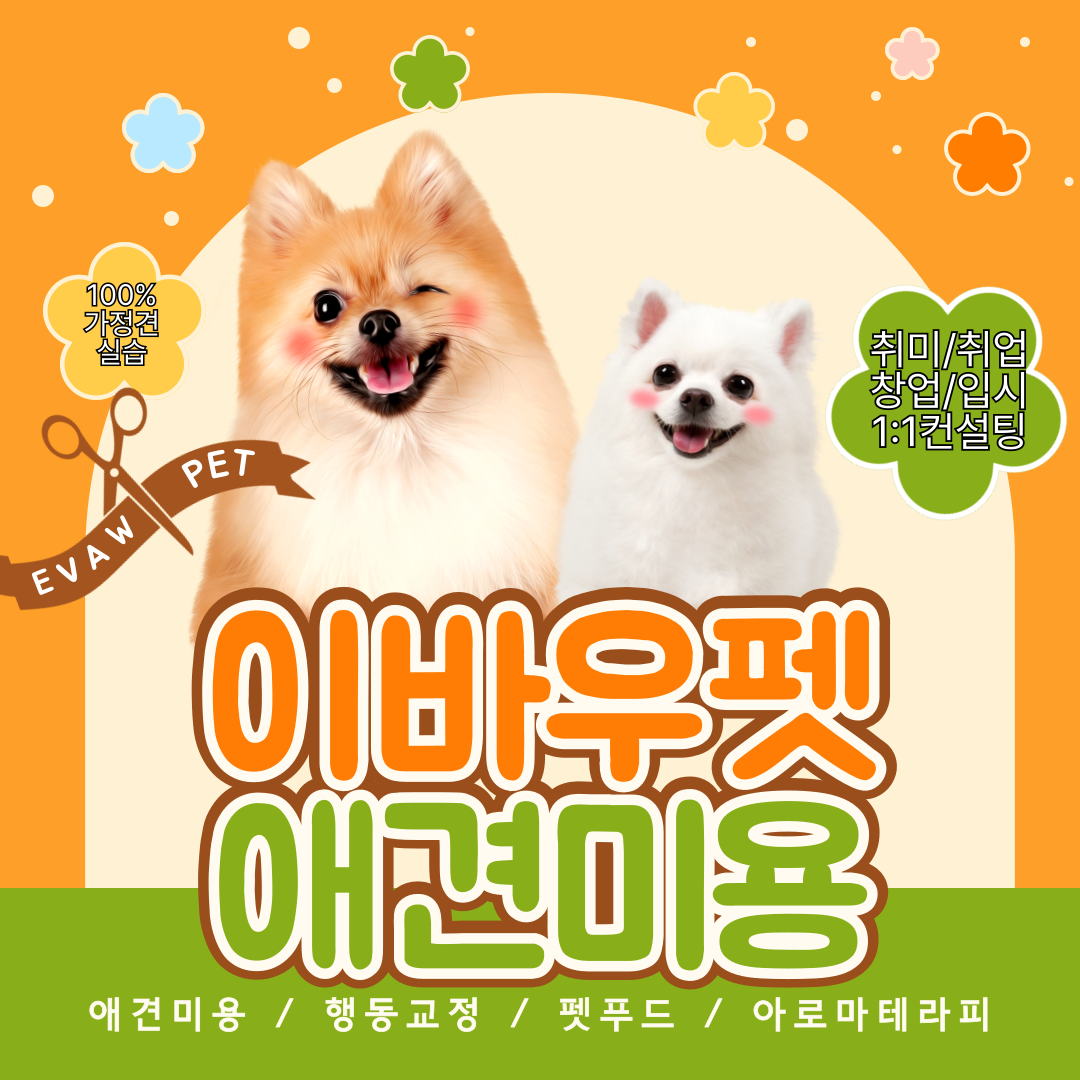목포애견미용학원