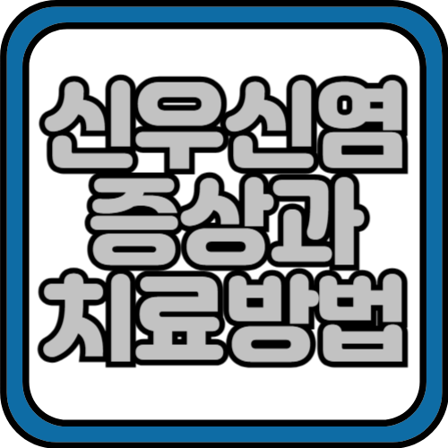 신우신염 증상 및 원인 치료방법 알아보기