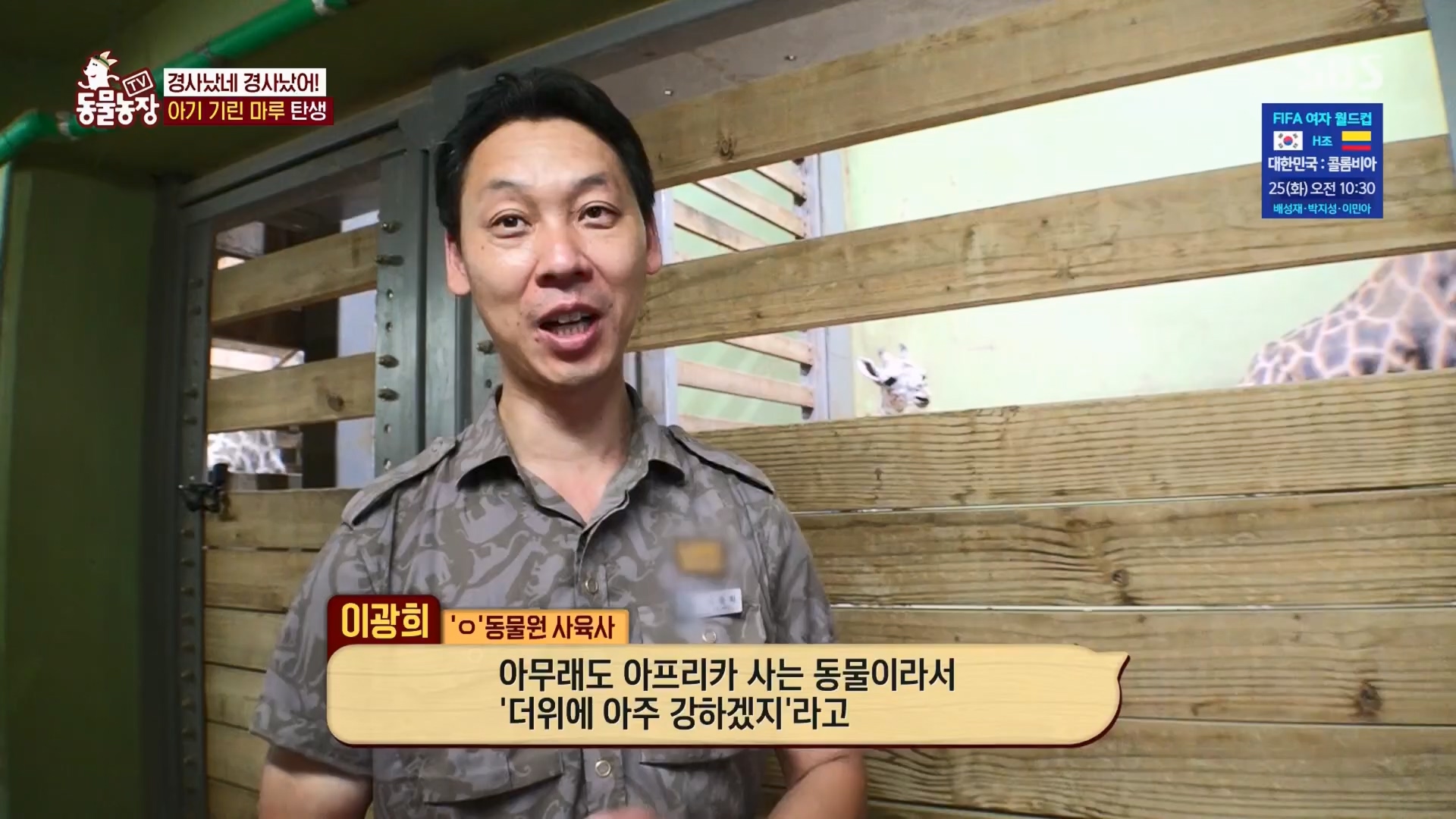 TV 동물농장.E1130.230723p.H264-F1RST.mp4_20230723_171212.821.jpg