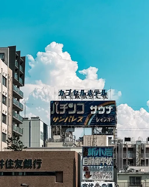 일본 애니메이션 순위 100선 명작 인기작_7
