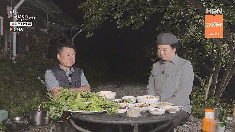 나는 자연인이다.E561.230705p.H264-F1RST.mp4_20230706_213044.205.jpg
