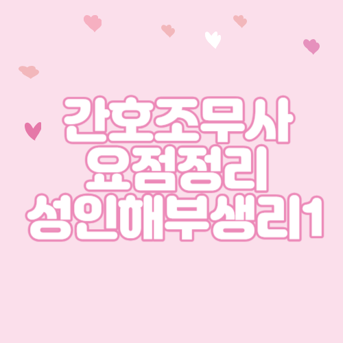  간호조무사 요점정리 성인해부생리1