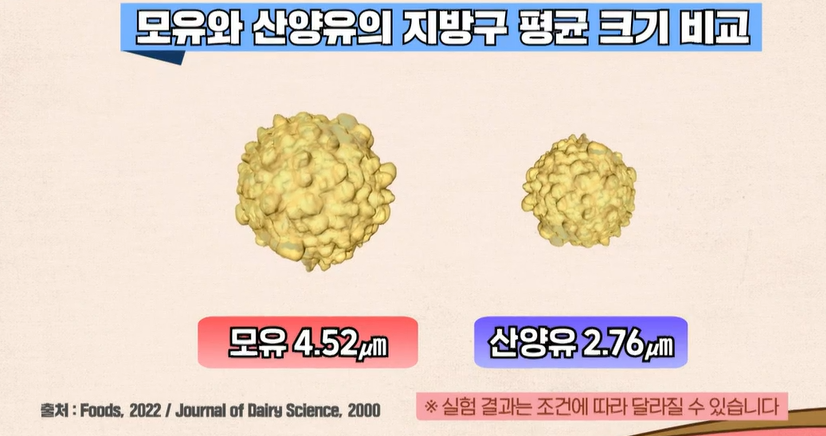 산양유 단백질 효능