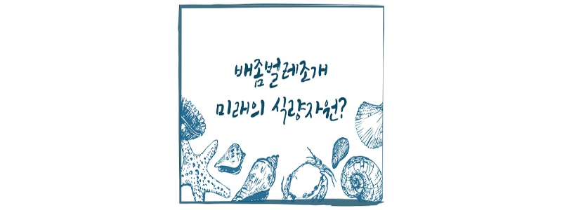 배좀벌레조개 썸네일