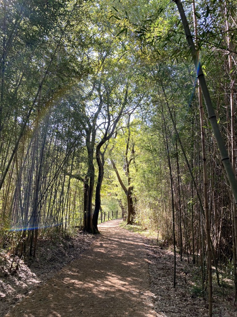 직소 [부안/변산면] : 변산반도국립공원 15