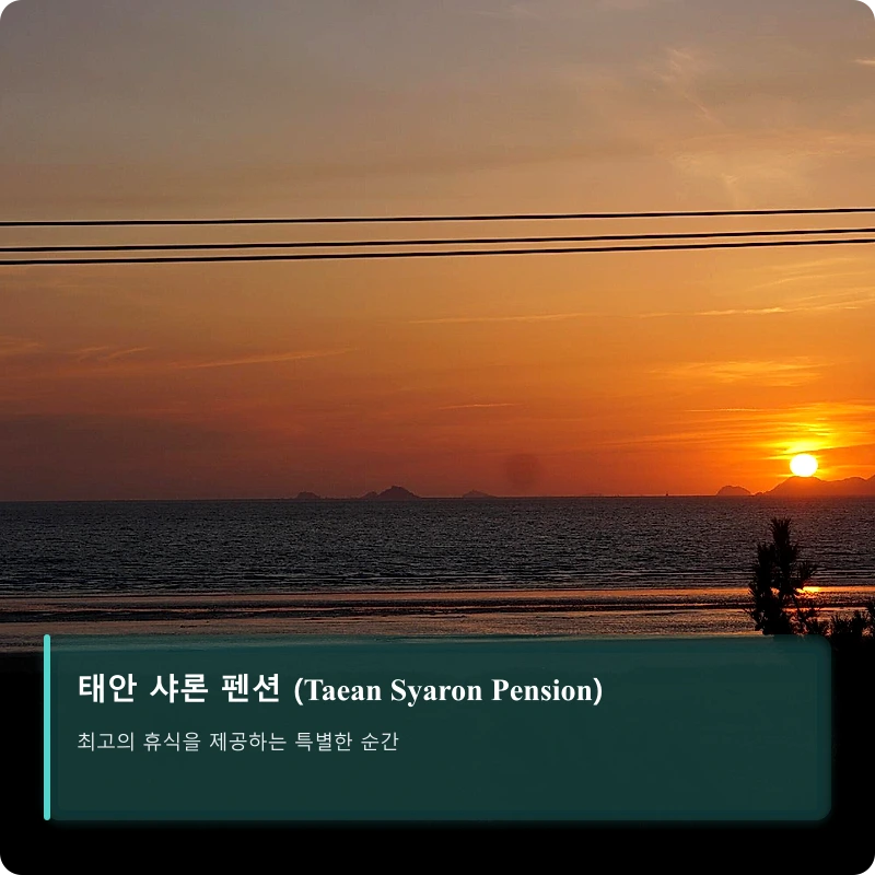 태안 샤론 펜션 (Taean Syaron Pension)_4
