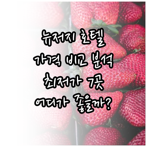 뉴저지 호텔 7곳 가격 비교 꼼꼼 분
