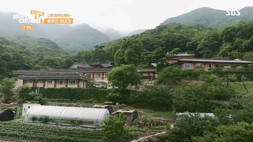 순간포착 세상에 이런일이.E1236.230708p.H264-F1RST.mp4_20230709_171120.538.jpg