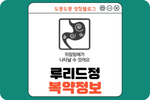 루리드정 복약 정보 이미지