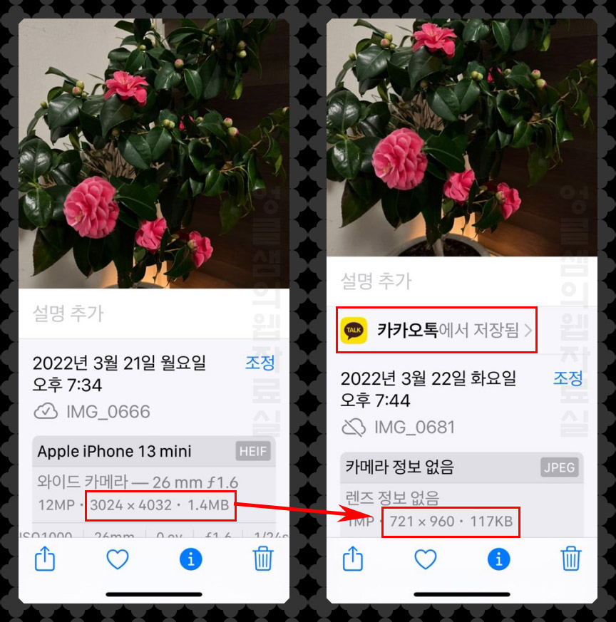  아이폰 사진 용량 줄이기, 카카오톡 이용 방법