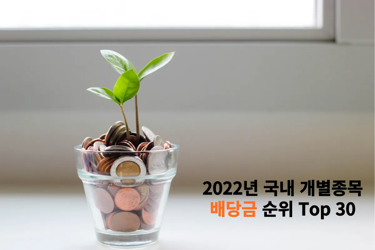 2022년-배당금-순위