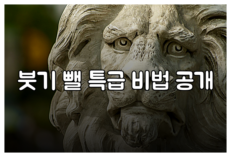 붓기 뺄 특급 비법 공개