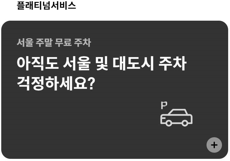 플래티넘 서비스