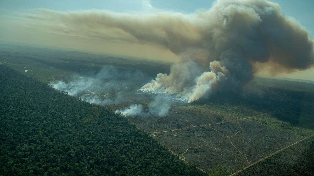 기후 변화 지구 온난화 아마존 산림 화재