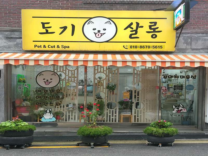 4호선 미아사거리역 애견미용 잘하는 곳 BEST4 | 예약하기 | 비숑 관리 | 푸들 목욕 | 맞춤형 서비스 | 후기 확인 | 총정리 - 2. 도기살롱 소개 2. 도기살롱 소개