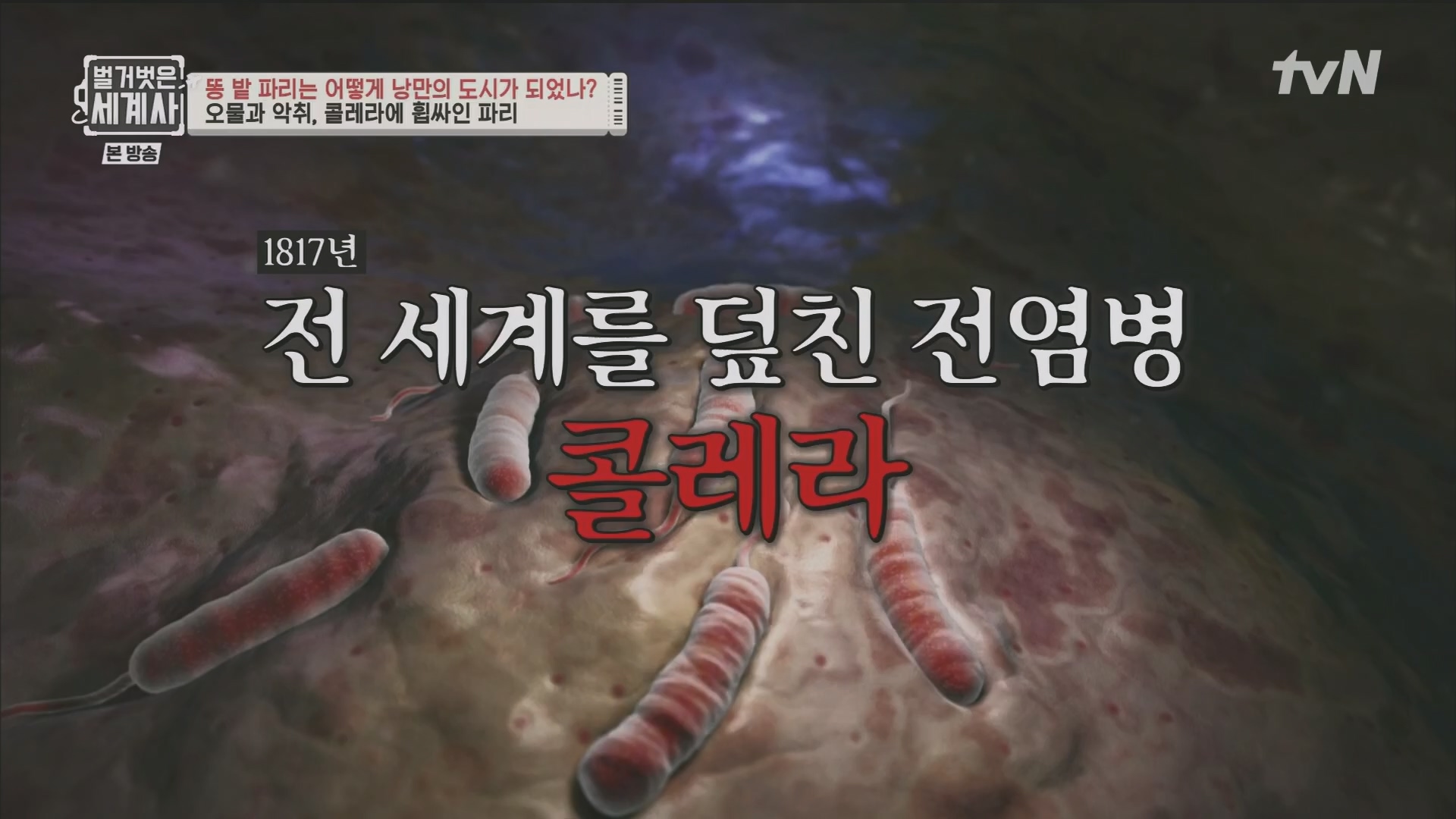 벌거벗은 세계사.E96.230425p.H264-F1RST.mp4_20231125_185500.464.jpg