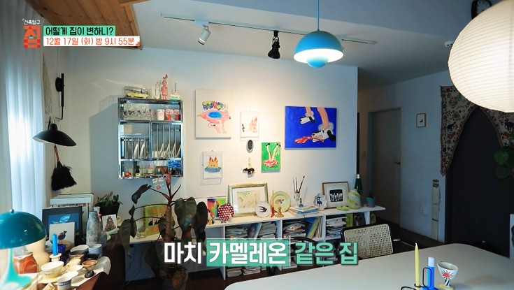 카멜레온-같은-집