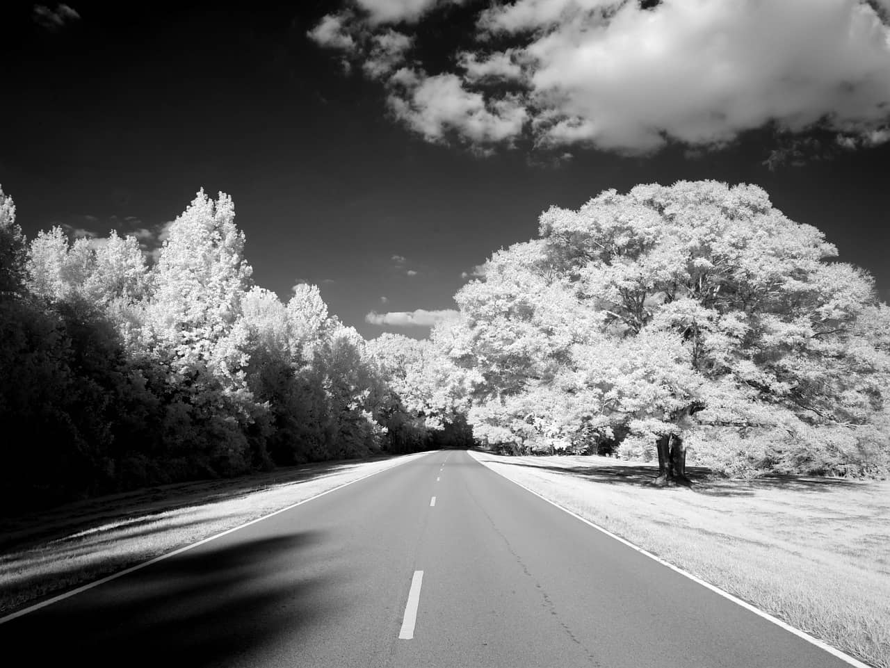 Natchez Trace Parkway