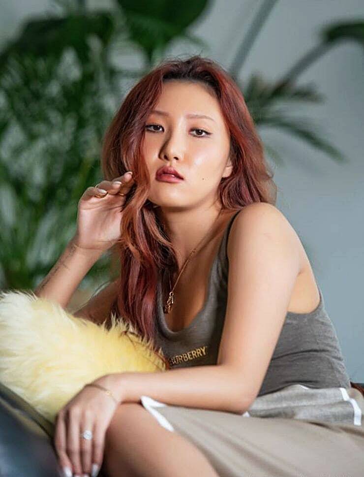 가수-화사
