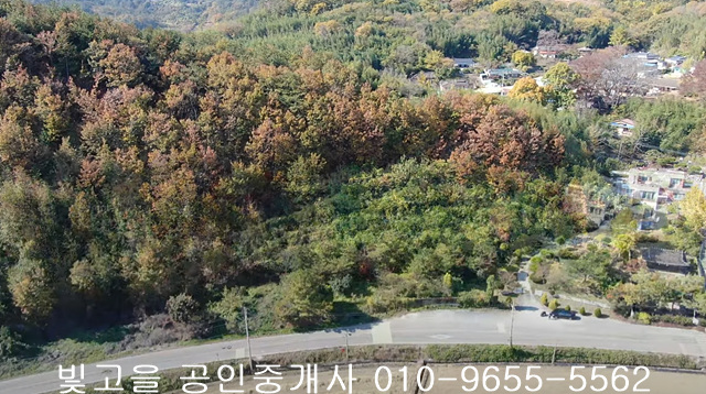 함평군 학면 복천리숲 4082㎡ 각 7,300평 전남토지분양 함평토지분양 2