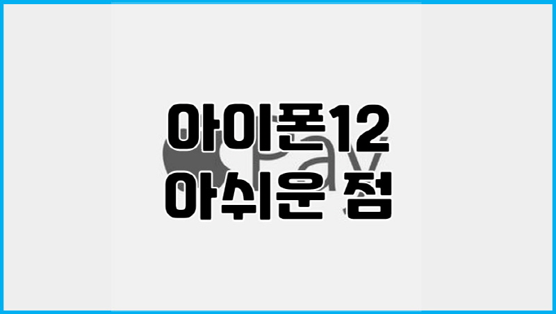  아이폰 12 애플페이, 아쉬운 점들