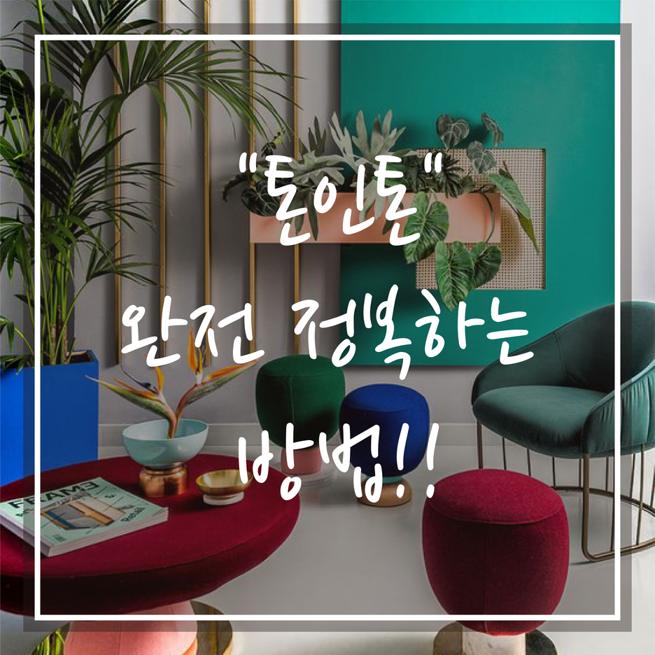  톤인톤 [Tone In Tone] feat.왜 내가 하면 복잡해 보일까?