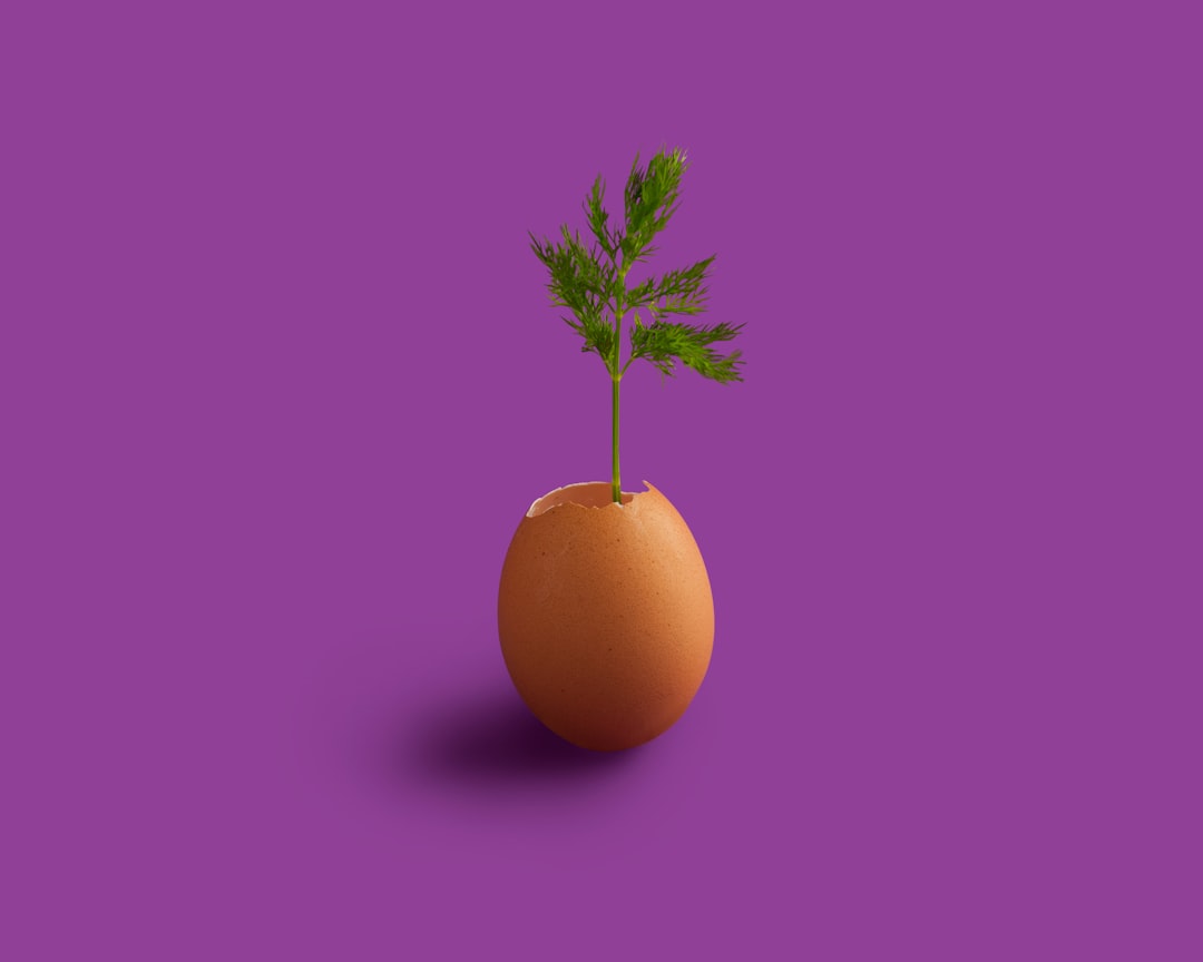 Egg
