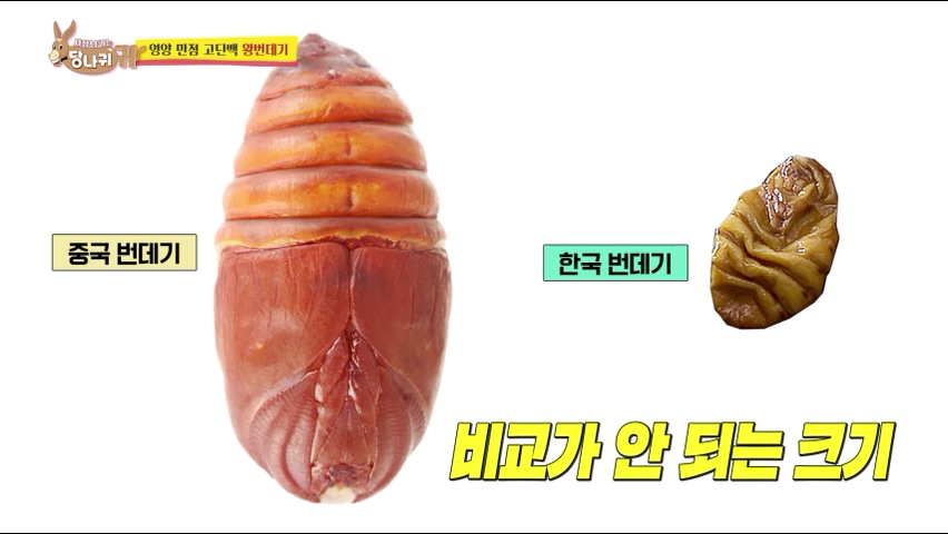 사장님귀는 당나귀귀 정지선 쉐프 중식당 생선머리탕 왕번데기 볶음 대림시장 차이나타운 맛집 위치 정보