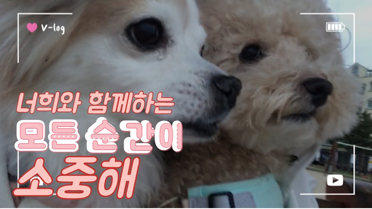 러블린 이미지