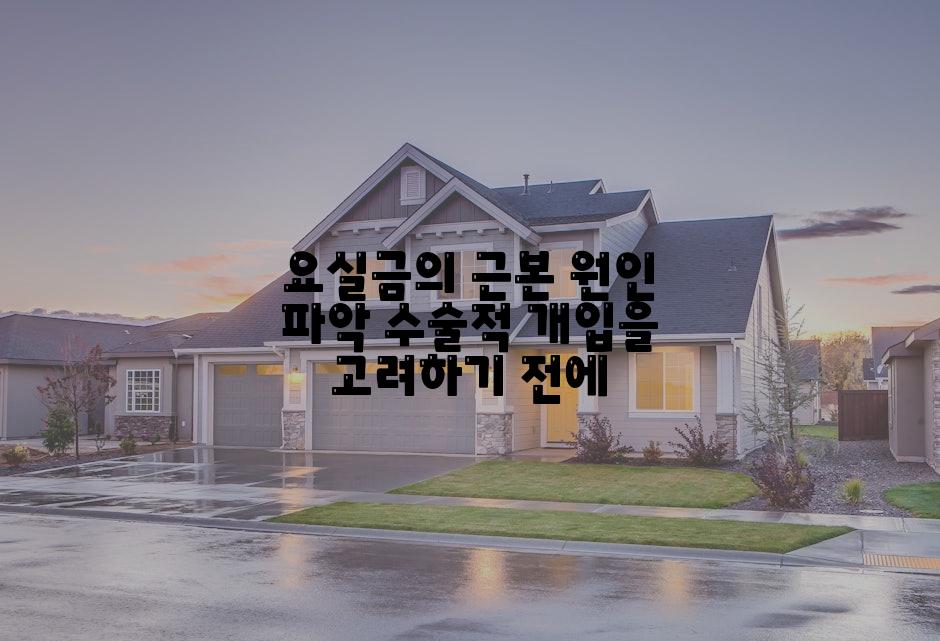 요실금의 근본 원인 파악 수술적 개입을 고려하기 전에