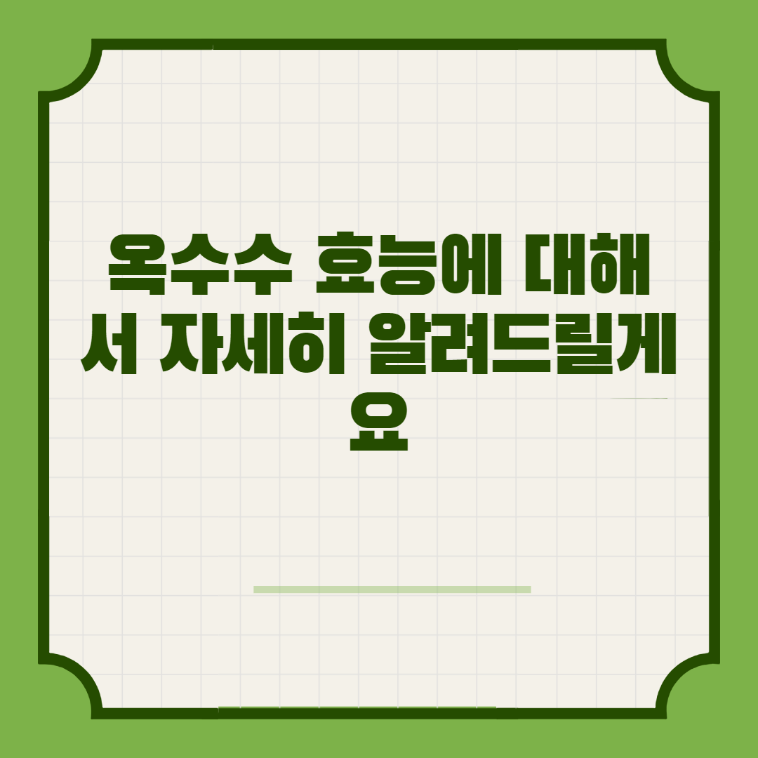  옥수수 효능