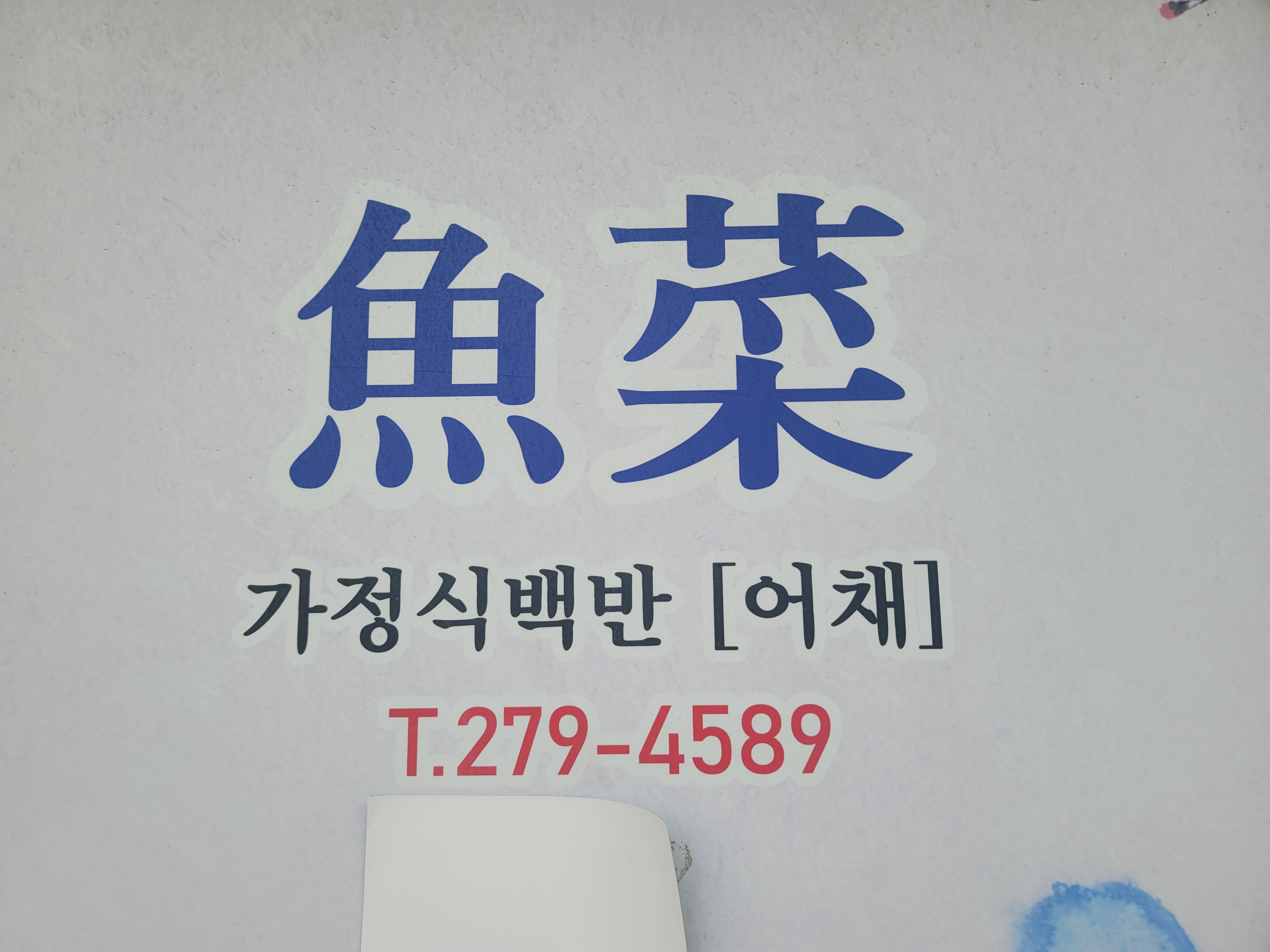어채 사진 7