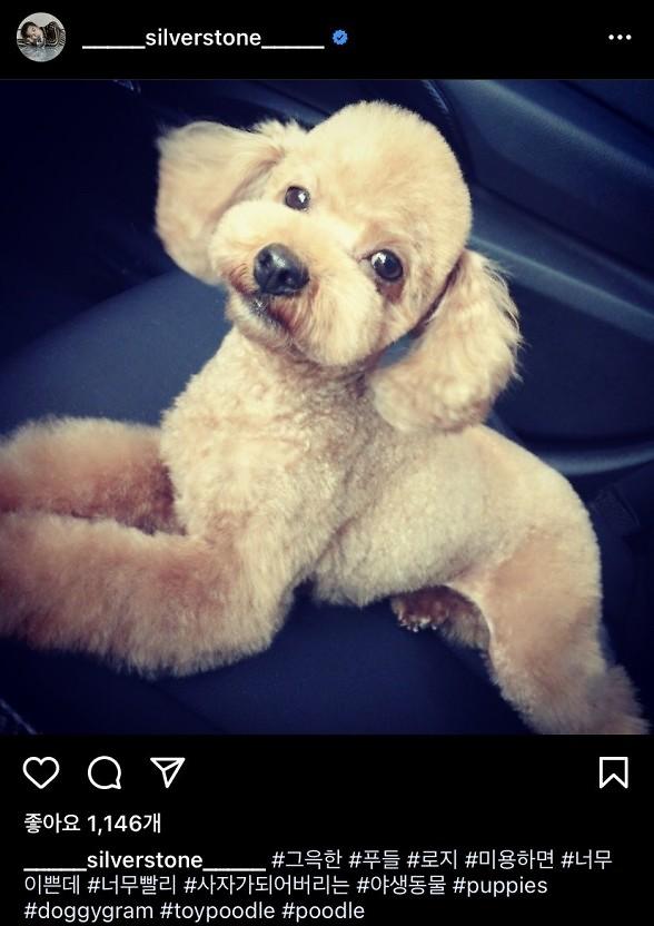  배우 박은석 강아지 해명