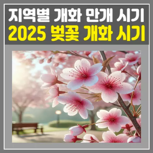 2025 벚꽃 개화 시기 총정리! 지역별 개화 예측과 만개 시기