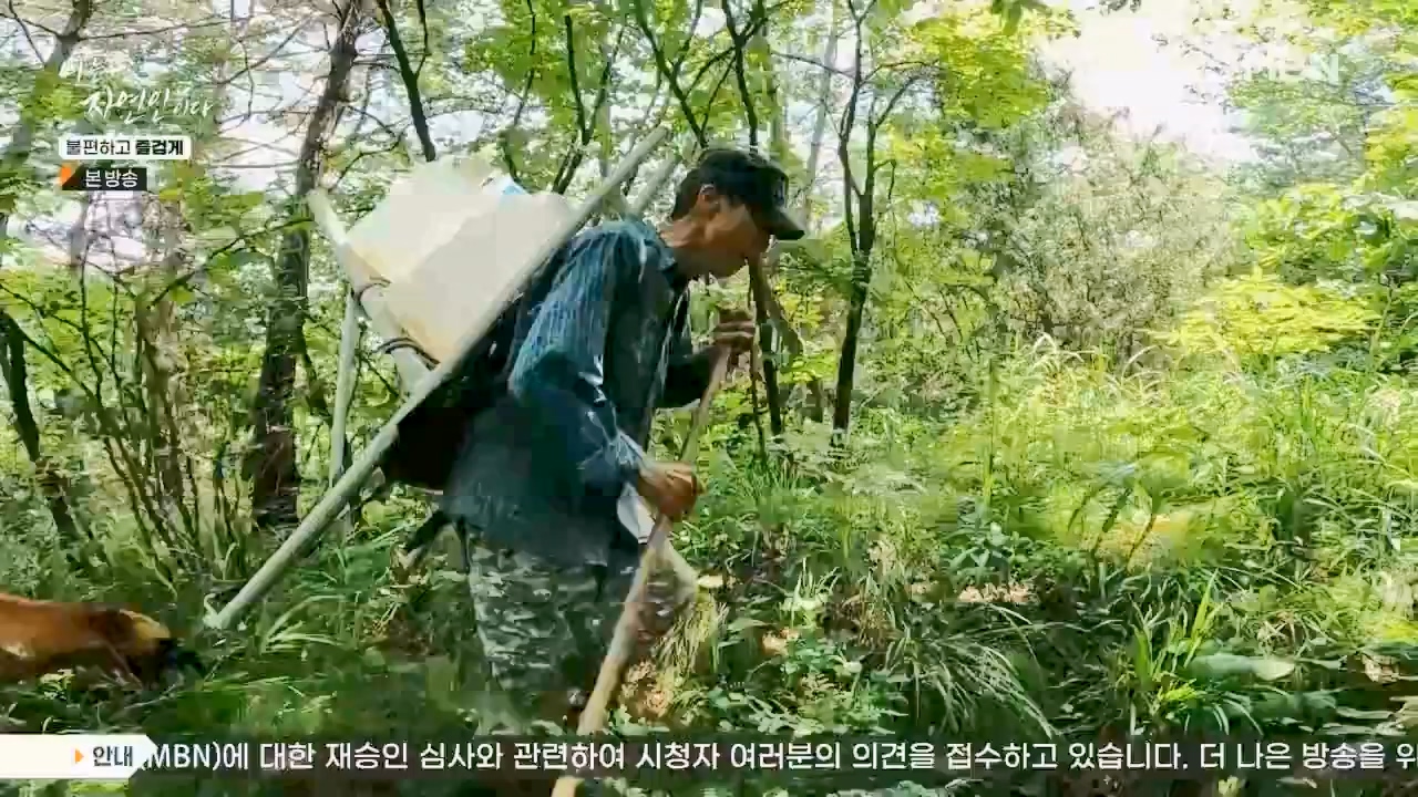 나는 자연인이다.E566.230810p.WANNA.mp4_20230810_202550.719.jpg