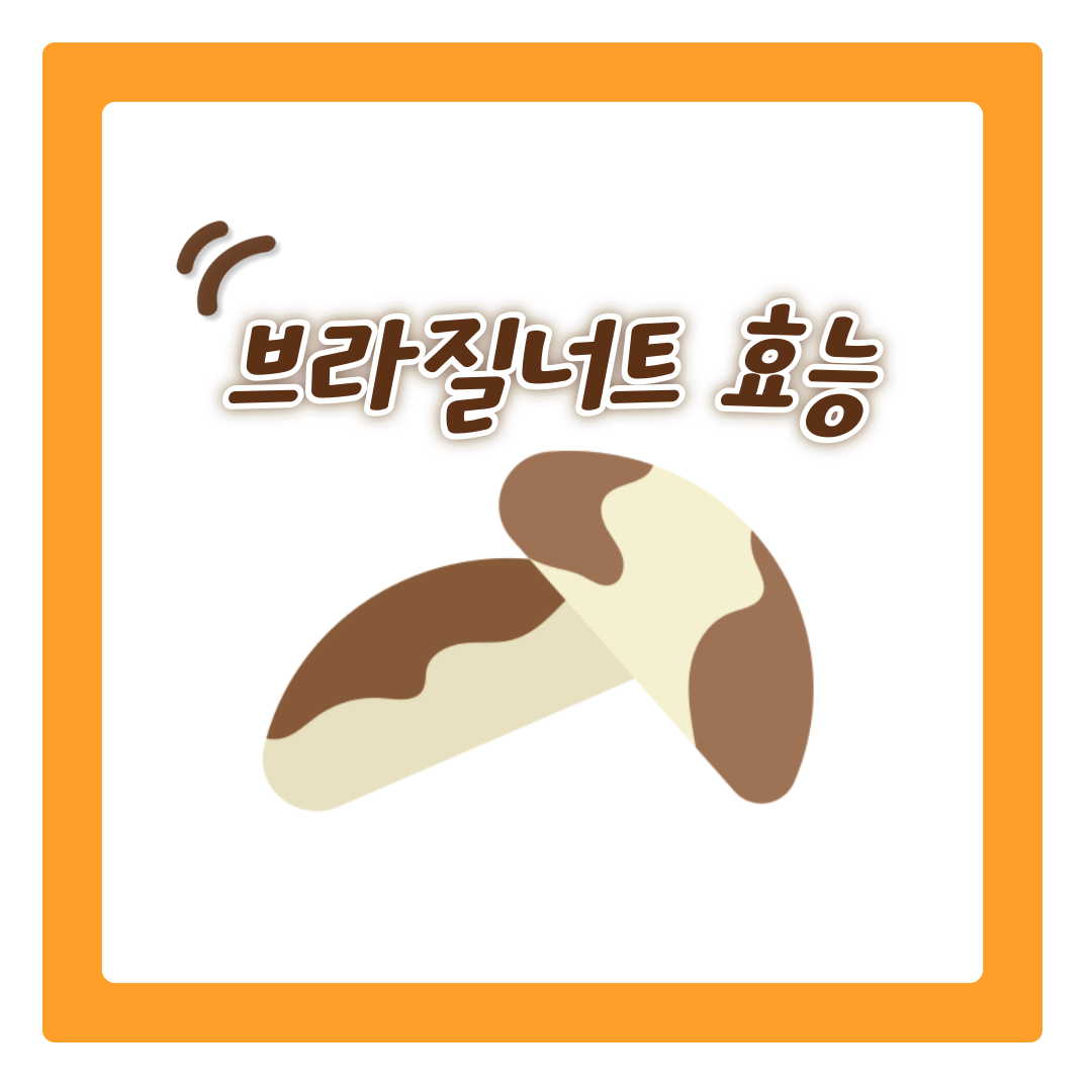  브라질너트 효능 및 브라질넛 복용법
