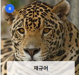 전주동물원 