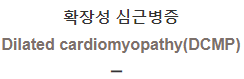  확장성 심근병증 [Dilated cardiomyopathy(DCMP)]