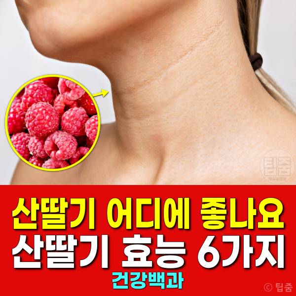 산딸기 어디에 좋은가요 산딸기 효능