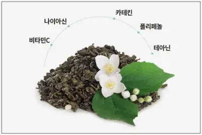 자스민차(티) 추천: 이너블릭 자스민차 성분