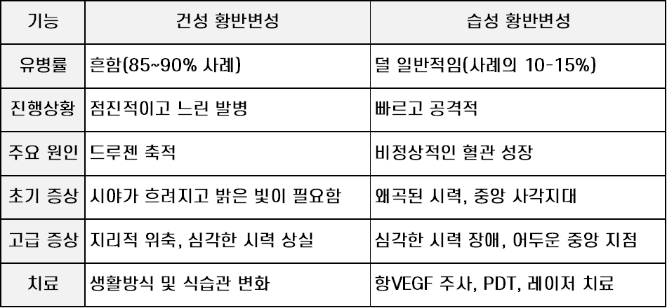 비교 요약