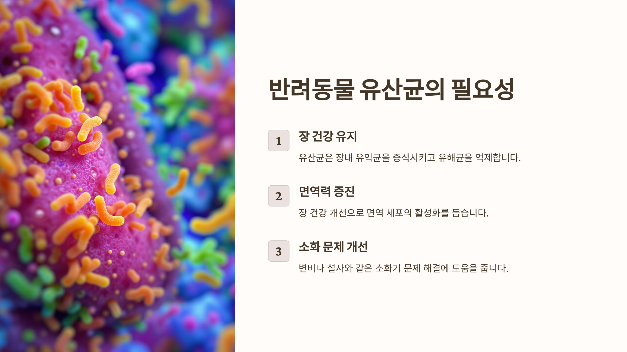 반려동물 유산균