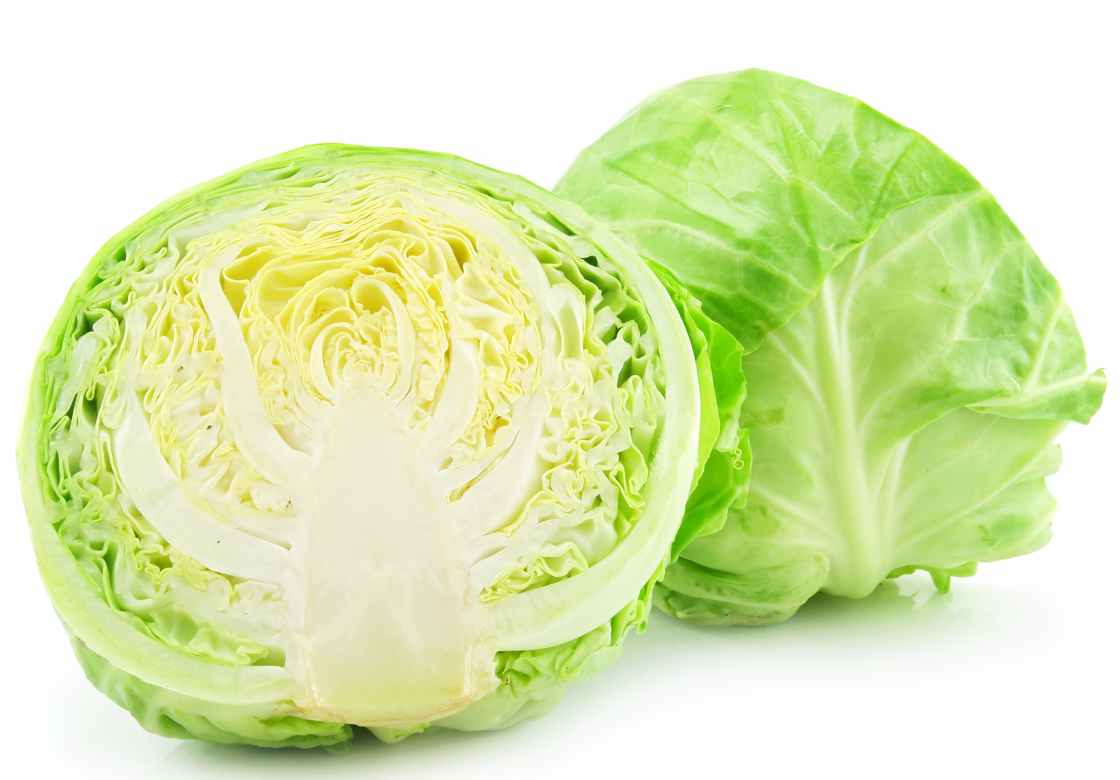양배추 양배추 씻는 방법 양배추의 효능