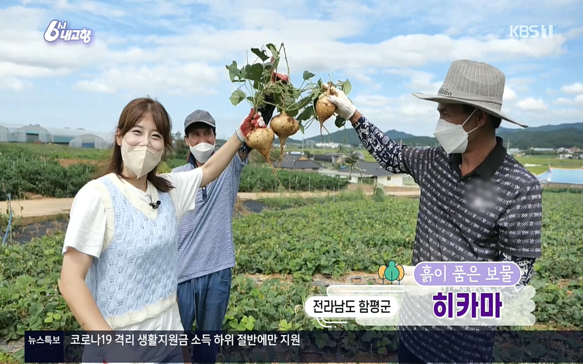 6시 내고향.E7617.220915p.H264-F1RST.mp4_20220916_204551.645.jpg