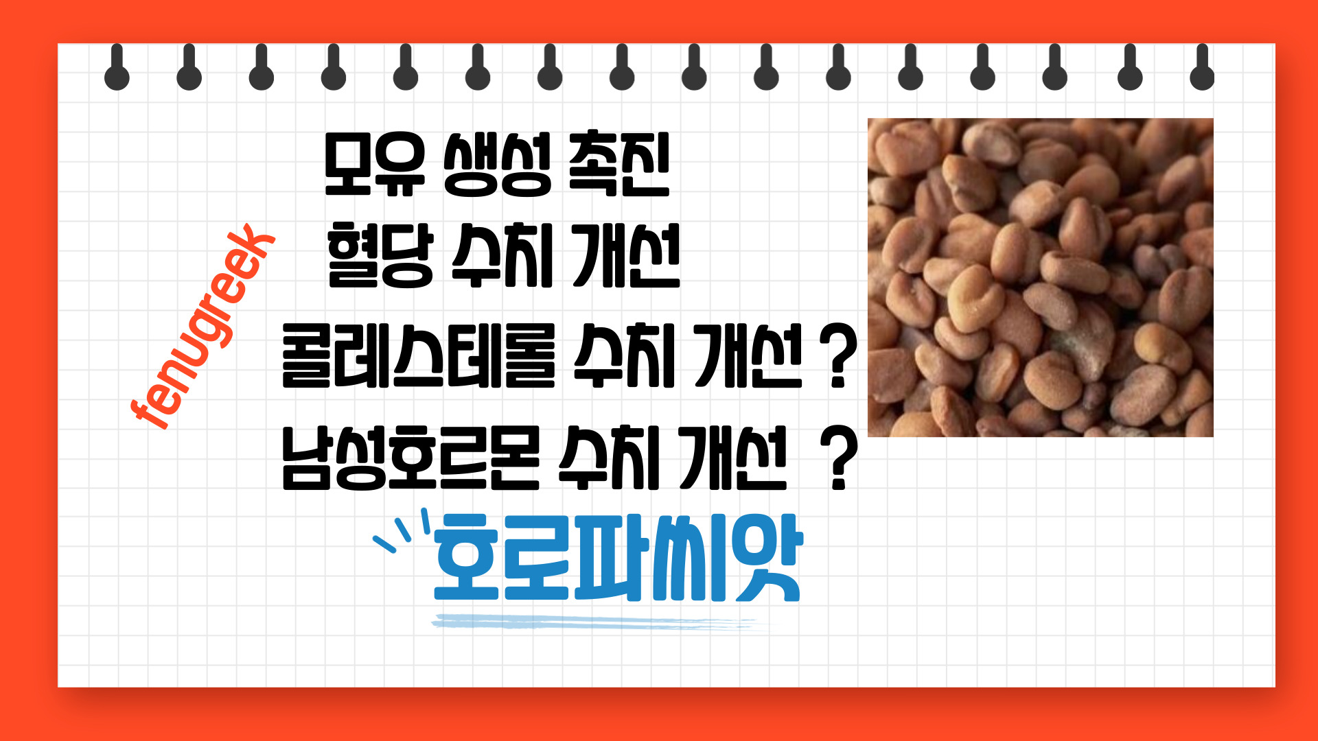  모유수유 촉진, 혈당수치 낮추는 호로파(fenugreek) 효능 부작용 권장량