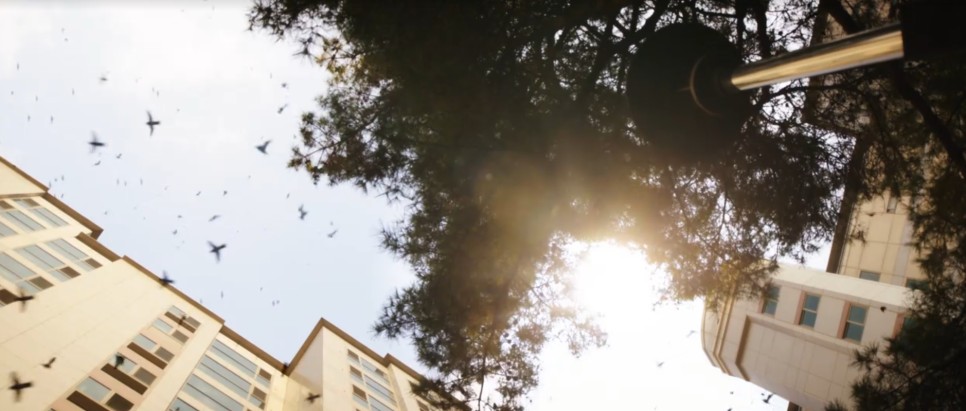 ocn 드라마 추천 OCN 드라마추천 우월한 하루 웹툰 원작 15